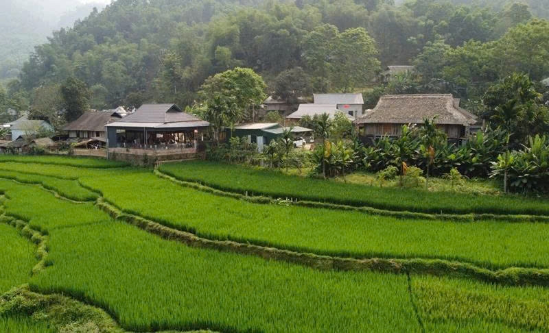 Vẻ đẹp hoang sơ của bản Ngày đem đến cho du khách nhiều trải nghiệm thú vị