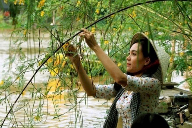 Người dân miền Tây thu hái bông điên điển vào mùa nước nổi - sản vật gắn bó với đời sống và văn hóa của cư dân đồng bằng sông Cửu Long