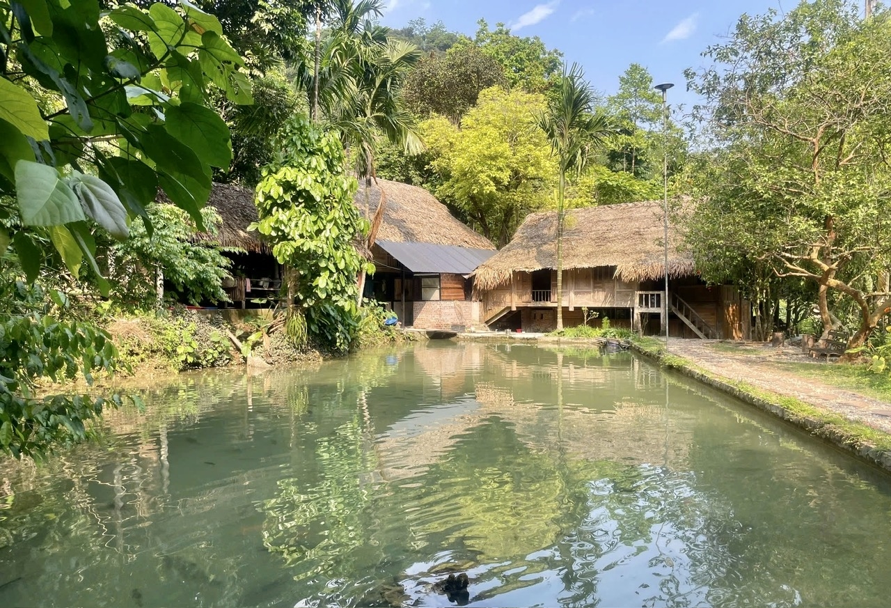 Những ngôi nhà sàn truyền thống của đồng bào Thái nép mình bên dòng nước trong xanh, tạo nên không gian du lịch cộng đồng đặc trưng giữa Khu Bảo tồn thiên nhiên Pù Luông