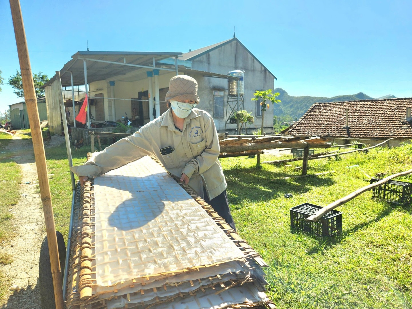 Một công đoạn làm cao khô Vạn Linh