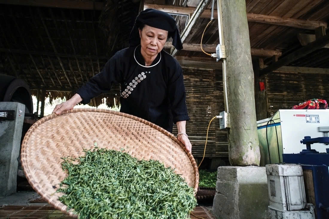 Ở làng Thái Hải, mỗi nhà mỗi nghề, mỗi người mỗi việc cùng chung tay bảo tồn các giá trị di sản văn hoá dân tộc mình.
