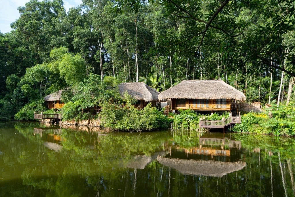 Những nếp nhà sàn cổ hoà mình vào thiên nhiên