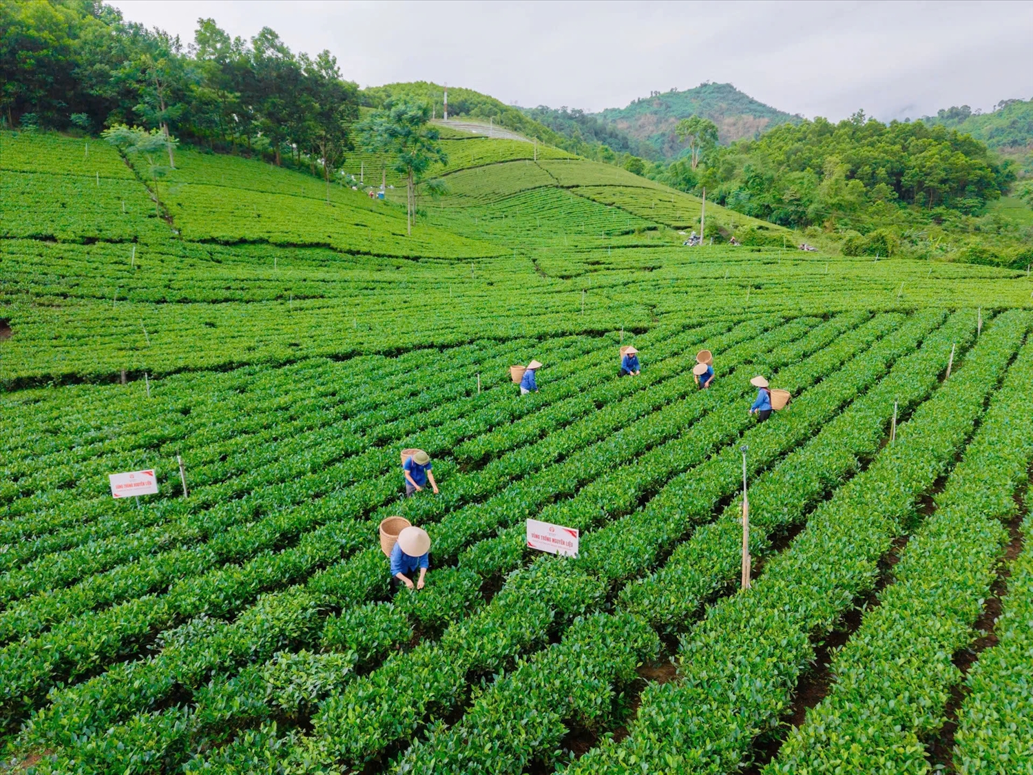 Cuộc sống yên bình của người dân xã La Bằng