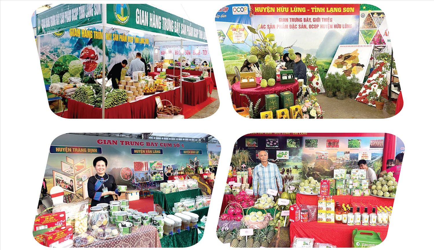 Sản phẩm OCOP giúp nâng cao thu nhập, tạo việc làm ổn định và phát triển kinh tế nông thôn bền vững cho người dân