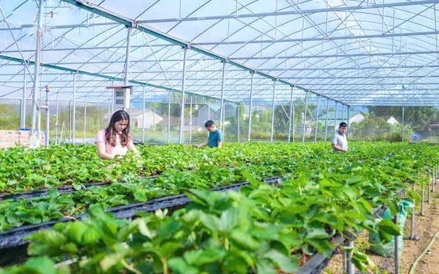Chuyển đổi số là xu thế không thể tránh khỏi trong mọi ngành nghề và lĩnh vực, bao gồm cả ngành nông nghiệp. Khi công nghệ số phát triển mạnh mẽ, nông nghiệp cũng không thể đứng ngoài cuộc cách mạng này