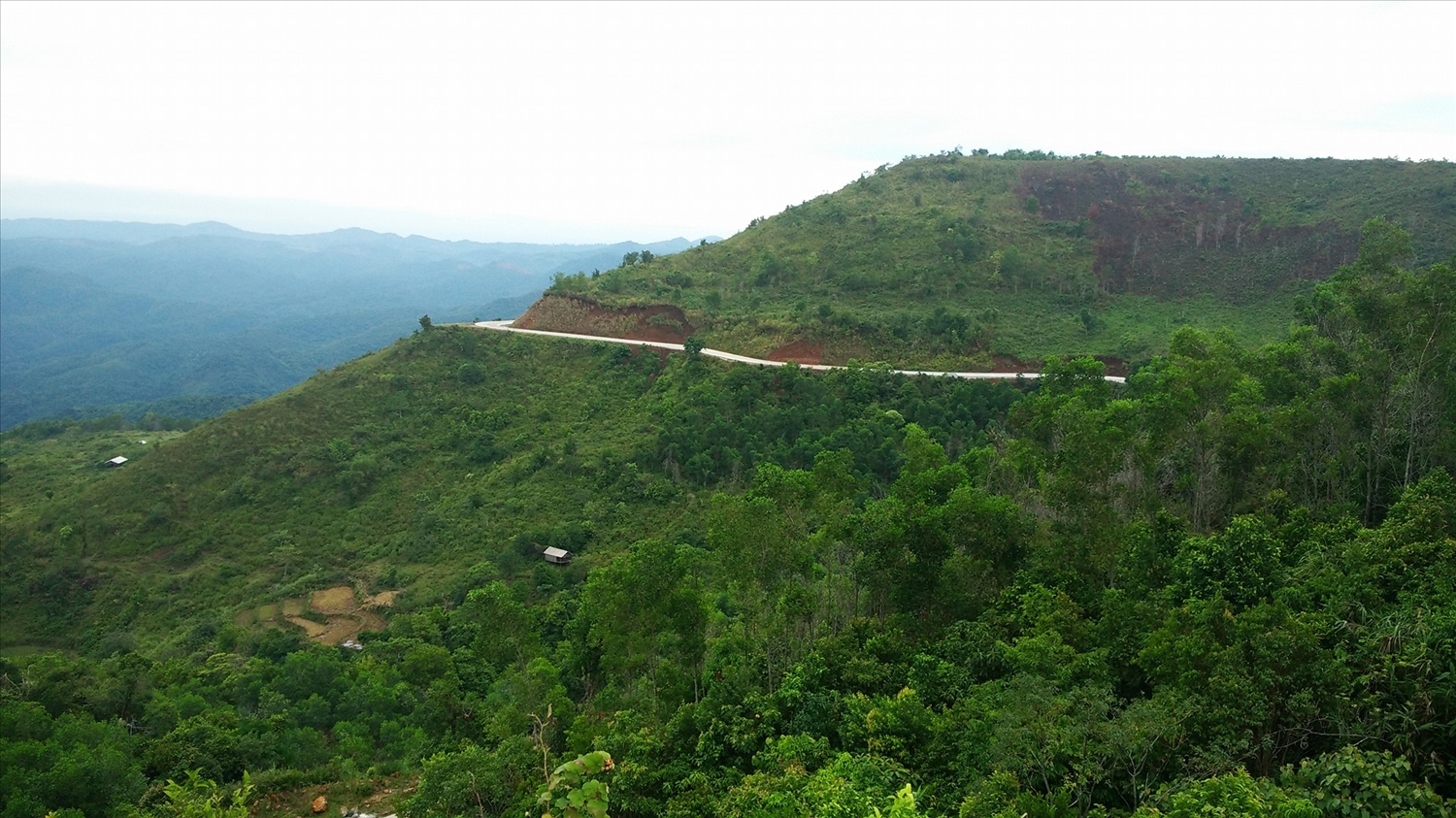 Thảo nguyên Bùi Hui