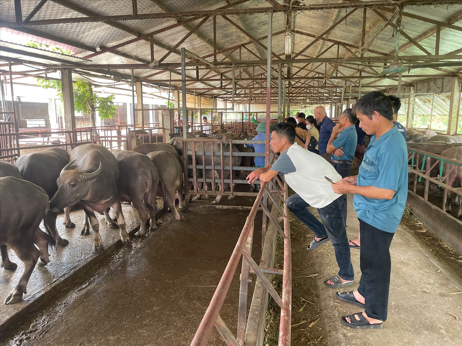 Mô hình hỗ trợ phát triển cộng đồng thuộc Chương trình Mục tiêu quốc gia phát triển kinh tế - xã hội vùng đồng bào dân tộc thiểu số và miền núi
