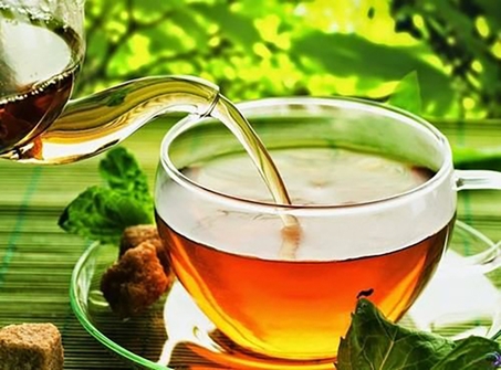 Sử dụng chè dây tươi hoặc khô để uống hằng ngày có thể chữa bệnh đau dạ dày