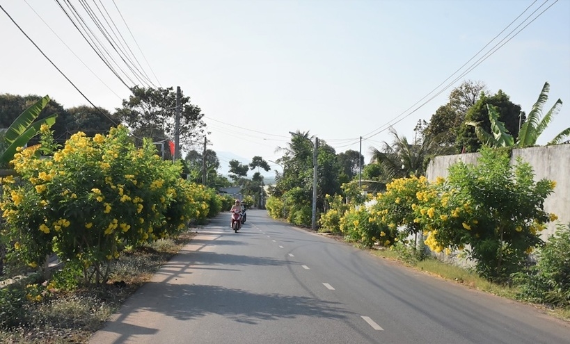 Nhiều tuyến đường nông thôn sạch đẹp ở xã Nghĩa Thành với sự góp sức của các tín đồ Bửu Sơn Kỳ Hương