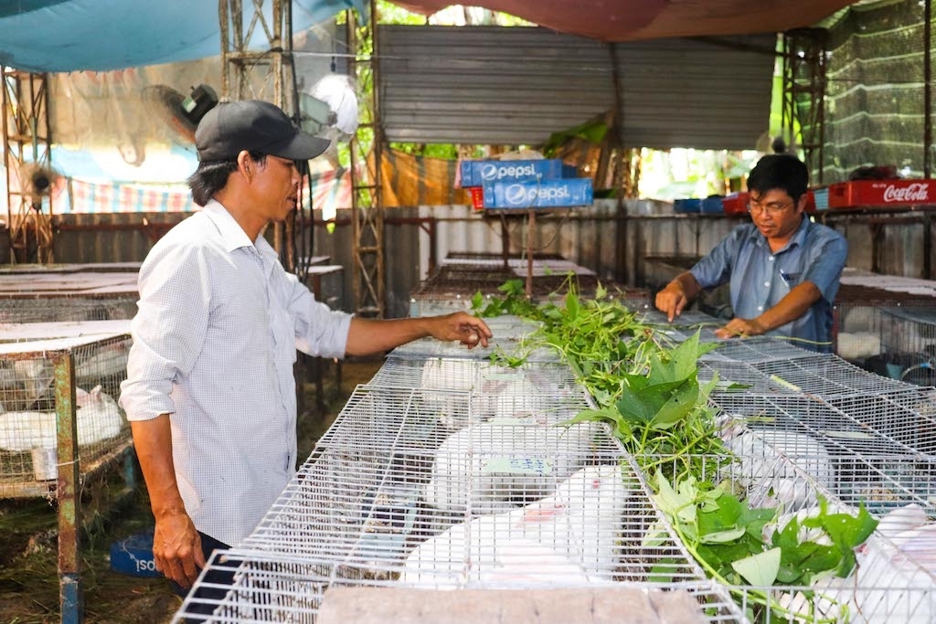 Tích cực chuyển đổi cây trồng và vật nuôi có giá trị cao, giúp cho mức sống của người dân xã Nghĩa Thành, trong đó có bà con tín đồ Bửu Sơn Kỳ Hương được nâng lên rõ rệt