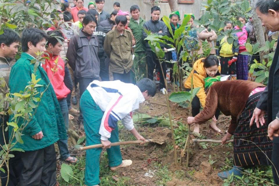 Người dân địa phương thực hành trồng và nhân giống cây Bon Bo dưới tán rừng ở bản Coọc, xã Yên Hòa, tỉnh Nghệ An