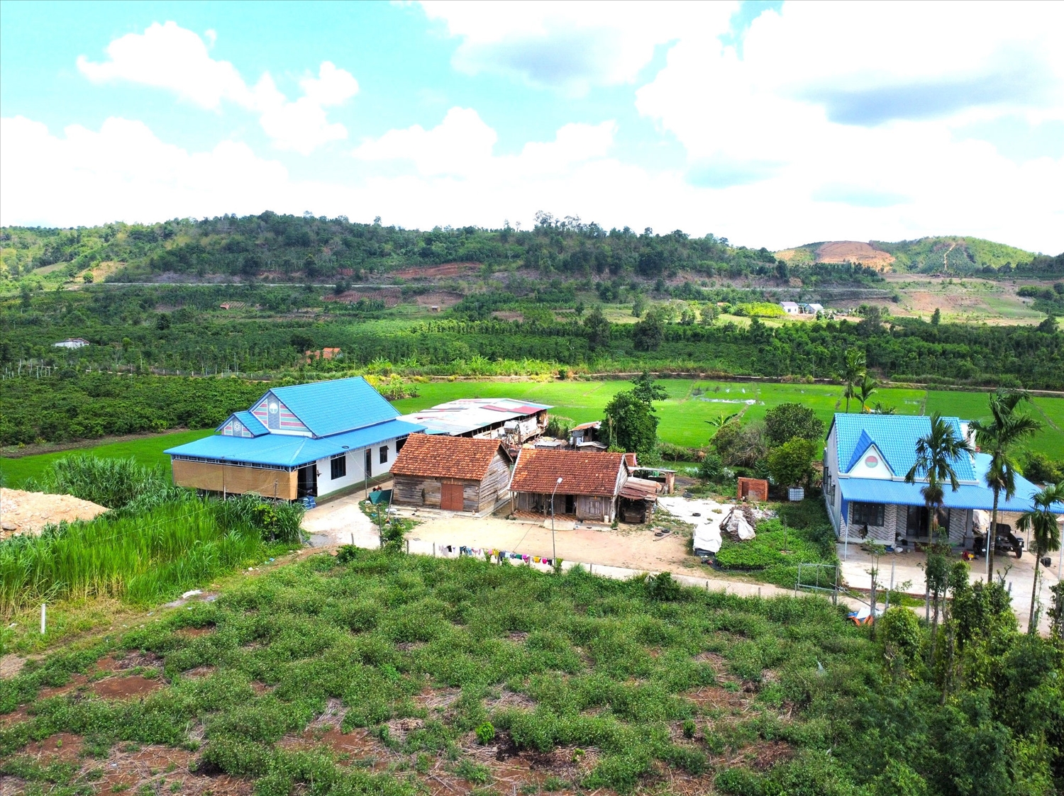 Căn nhà gỗ cũ (ở giữa) là chứng nhân cho những ngày đầu lập nghiệp của gia đình anh Hà Văn Cương. Sau nhiều năm bền bỉ phát triển mô hình nuôi dê, gia đình anh đã xây dựng được cơ ngơi khang trang, từng bước vươn lên làm giàu trên chính quê hương mình
