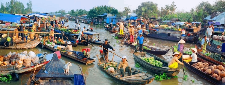 Chợ nổi Cà Mau không chỉ là nơi trao đổi buôn bán hàng hóa mà còn là địa điểm du lịch thu hút rất nhiều du khách từ trong và ngoài nước tới tham quan và trải nghiệm ngôi chợ độc đáo này
