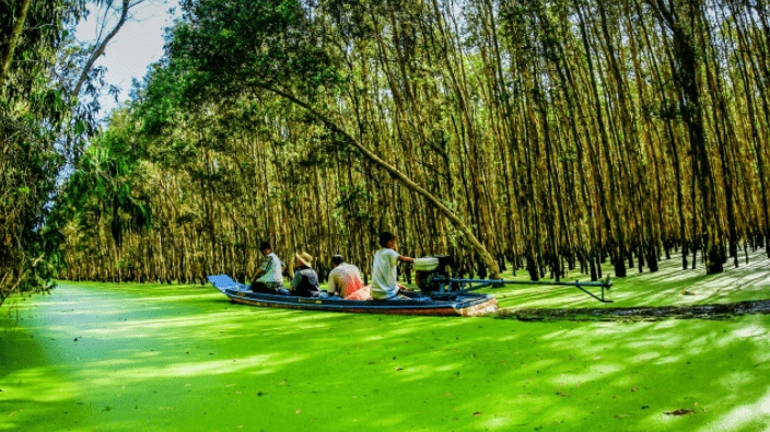 Rừng tràm Trà Sư (tỉnh An Giang) là nơi có hệ sinh thái điển hình của vùng ngập nước phía Tây sông Hậu. Khí hậu mát mẻ kết hợp với khung cảnh xanh đẹp của rừng tràm đã thu hút sự chú ý của rất nhiều du khách