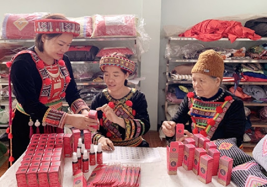 Ngày càng nhiều thanh niên dân tộc thiểu số đã mạnh dạn khởi nghiệp từ chính lợi thế quê hương. Có người bán chè, mật ong, quế, dược liệu, cà phê, mắc ca, sản phẩm OCOP,… thông qua các nền tảng thương mại điện tử…