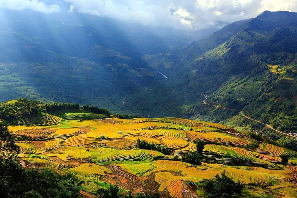 Đến được với Thung Lũng Mường Hoa (điểm hấp dẫn cuộc hành trình Sa Pa) thì du khách phải vượt qua nhiều dãy núi mờ sương nhưng khi đến du khách sẽ nhận được những giá trị đặc biệt ngoài sự mong đợi. Nơi đây khi vào mùa thu sẽ được ngắm nhìn những cánh đồng lúa chín, cả thung lũng sẽ được khoác lên mình một chiếc áo có màu vàng óng ánh đặc trưng