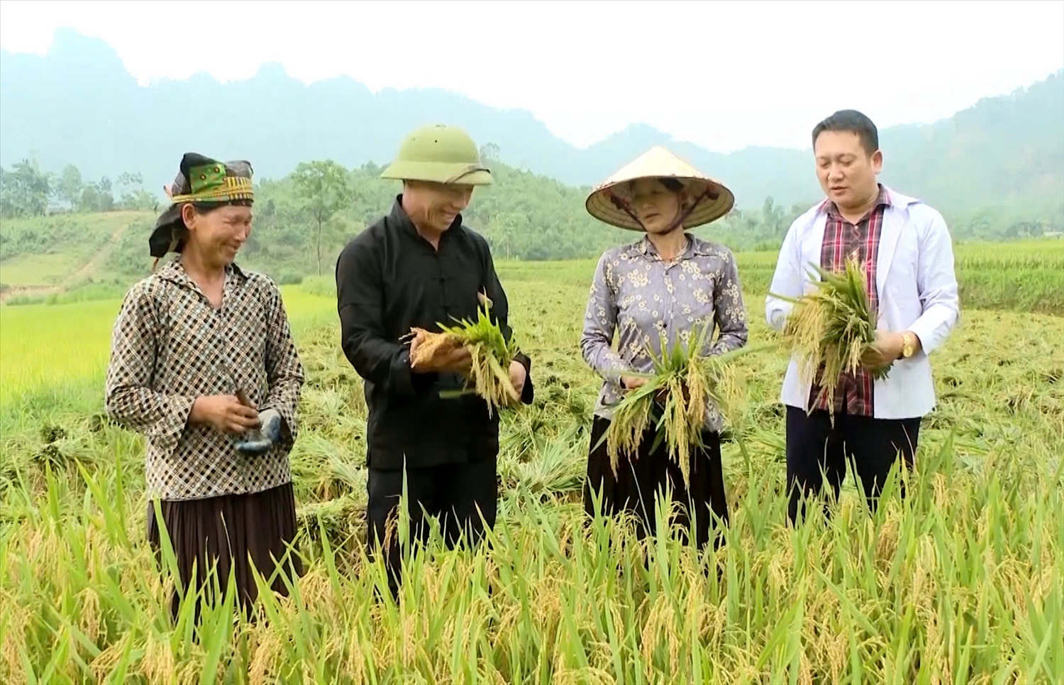 Ông Giàng A Chềnh (thứ 2 từ trái sang), người có uy tín thôn Tiên Tốc, xã Bình An vận động người dân địa phương phát triển kinh tế