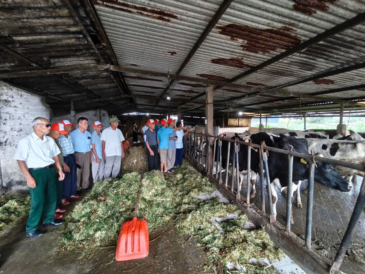 Đoàn đại biểu người có uy tín tỉnh Tuyên Quang tham quan, học tập kinh nghiệm mô hình chăn nuôi bò sữa tại tỉnh Sơn La (tháng 7/2026)