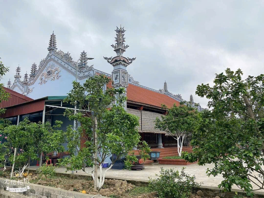 Cây xanh trồng hài hòa với khuôn viên ngoại cảnh 