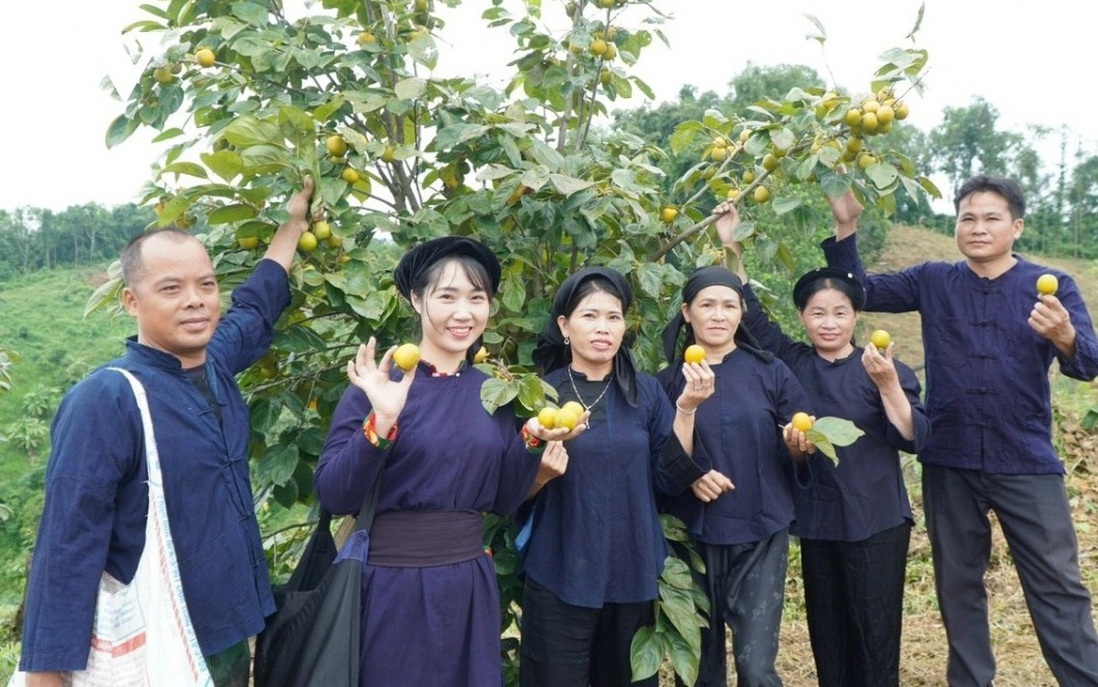Từ thành thị đến vùng nông thôn, miền núi, ngày càng nhiều phụ nữ mạnh dạn biến ý tưởng khởi nghiệp của mình thành hiện thực