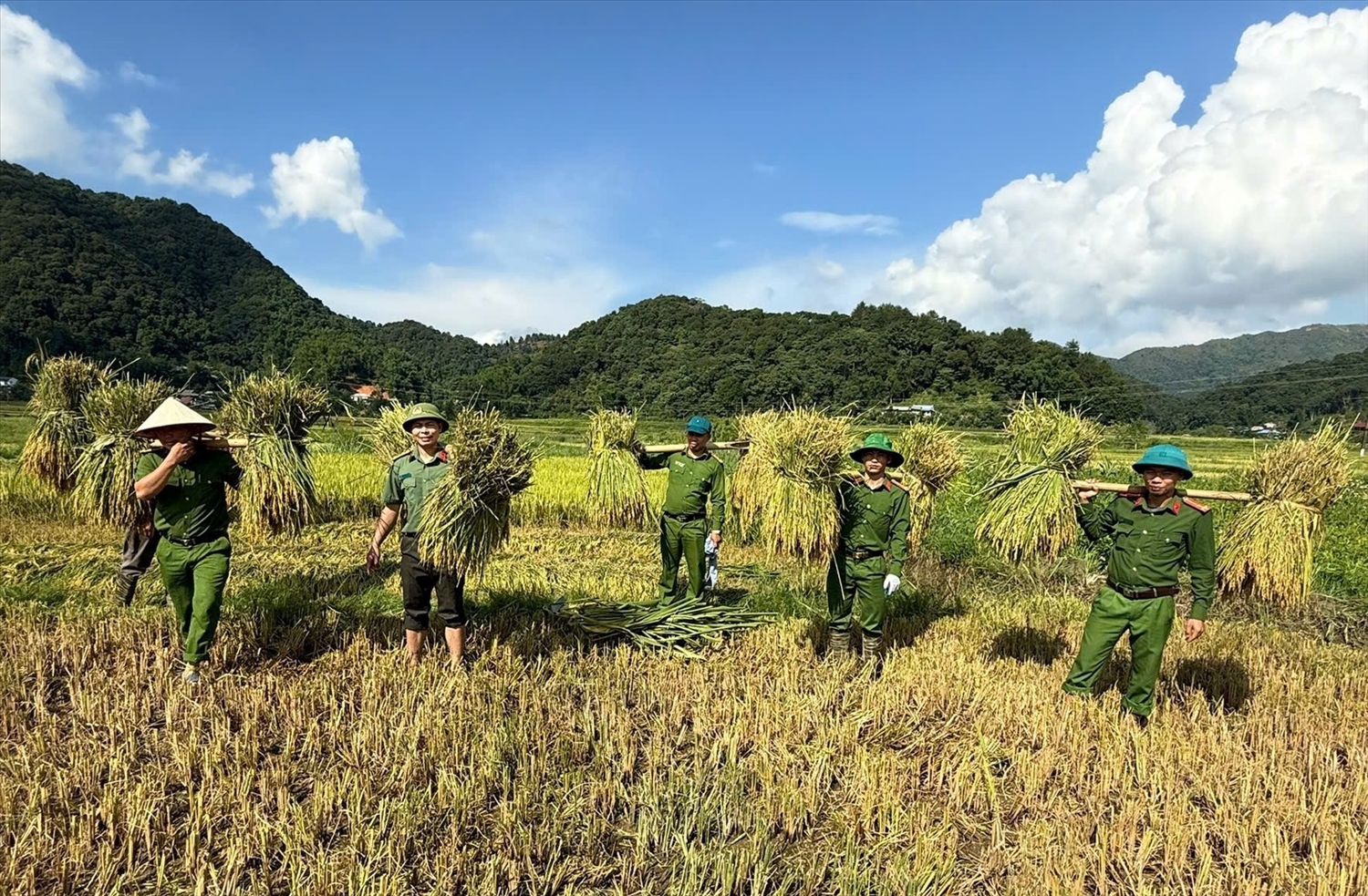 Các chiến sĩ công an cùng giúp dân trên cánh đồng Nà Tấu 
