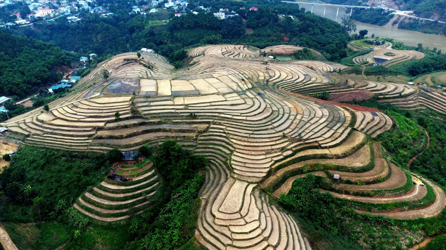 Ruộng bậc thang ở Bản Poom Khuông, xã Tam Chung (Thanh Hóa)