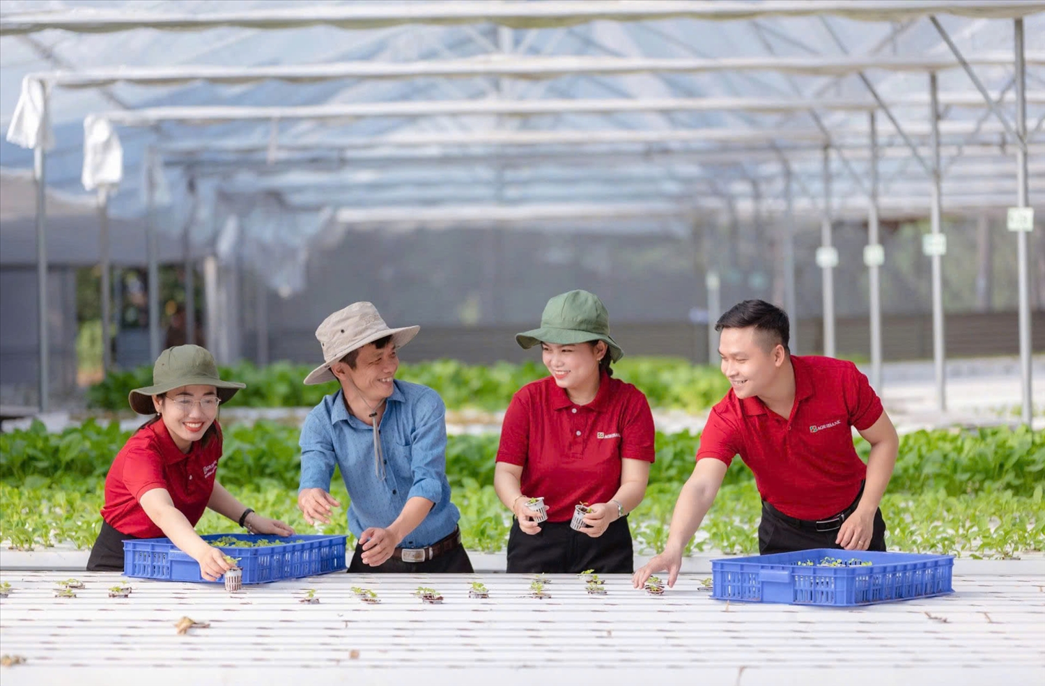 Agribank tiên phong triển khai chương trình tín dụng ưu đãi 70.000 tỷ đồng hướng đến các động lực tăng trưởng kinh tế và doanh nghiệp nhỏ và vừa 1