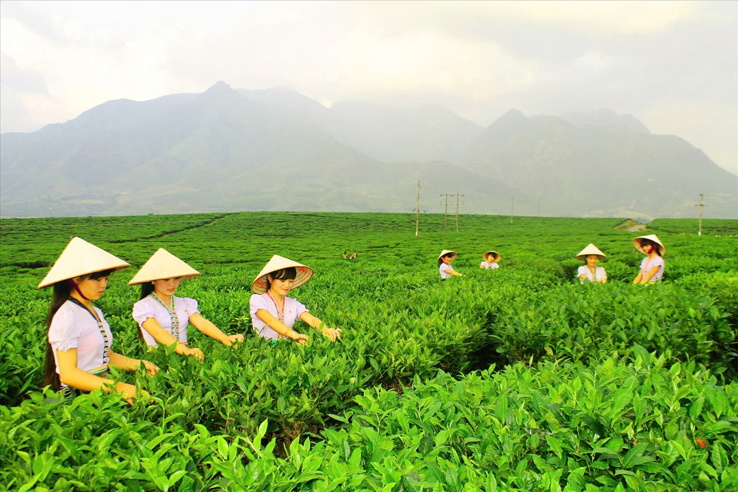 Tri thức dân gian là hệ thống tri thức mà người dân ở một cộng đồng tích lũy và phát triển dựa trên kinh nghiệm đã được kiểm nghiệm qua thực tiễn từ hàng nghìn đời nay, thường xuyên thay đổi để thích nghi với môi trường văn hóa, xã hội
