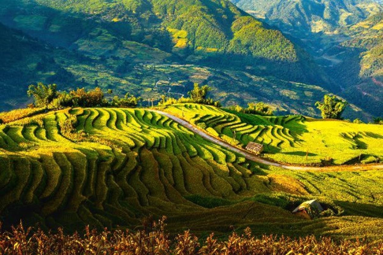 Nhiều đồng bào dân tộc thiểu số nắm giữ kỹ thuật làm ruộng bậc thang, điển hình là người Mông, La Chí, Dao, Tày, Nùng, Cờ Lao, Phù Lá, Hà Nhì... Ruộng bậc thang được tạo nên từ chính sức lao động, bàn tay, khối óc, kinh nghiệm được tích lũy, công cụ lao động đơn giản như dao, cuốc, xẻng, xà beng, cày, bừa mà không cần đến nhiều sự trợ giúp của máy móc hiện đai