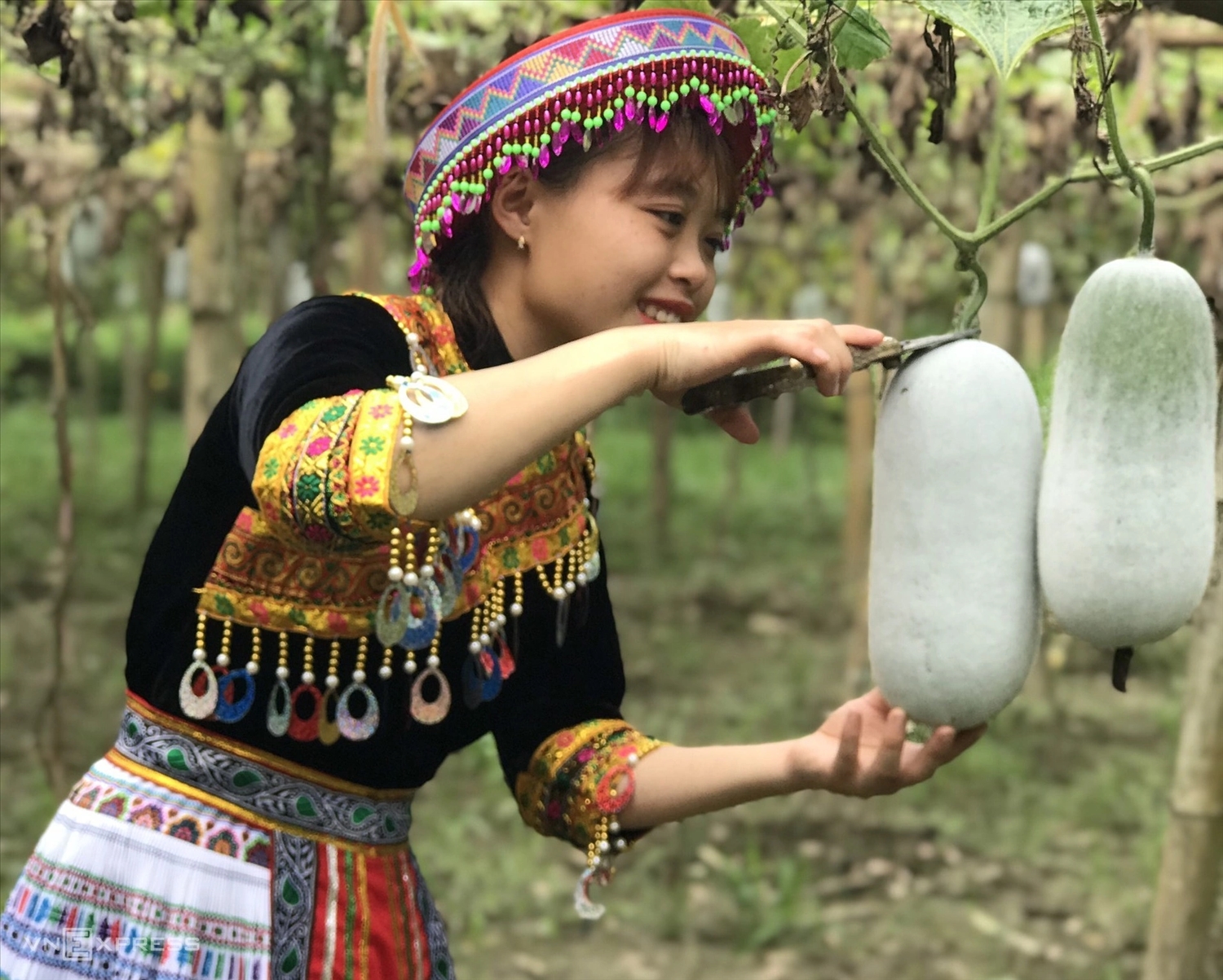 Thương hiệu bí thơm Thái Nguyên đã trải qua một hành trình dài, vượt qua nhiều khó khăn, thách thức để xây dựng và phát triển. 