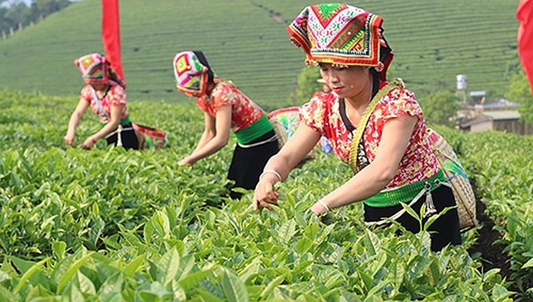 Trong bối cảnh hiện nay, đứng trước sự thay đổi của thời đại và phát triển của công nghệ số, đòi hỏi chúng ta phải có những giải pháp đồng bộ, toàn diện để bảo tồn và phát huy giá trị văn hóa của đồng bào dân tộc thiểu số