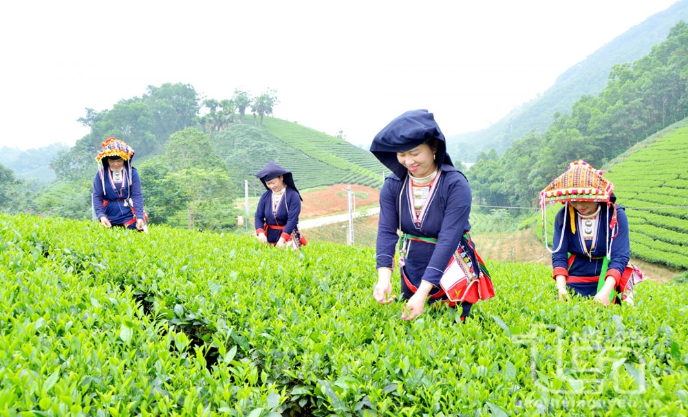 Các dữ liệu phải bảo đảm chính xác, được cập nhật, điều chỉnh kịp thời khi có thay đổi địa giới hành chính, đổi tên đơn vị hành chính, điều chỉnh phạm vi quản lý, sáp nhập, chia tách đơn vị hành chính, sáp nhập thôn, xã trong giai đoạn thực hiện để bảo đảm thống nhất dữ liệu theo thực tế sau sắp xếp đơn vị hành chính. 