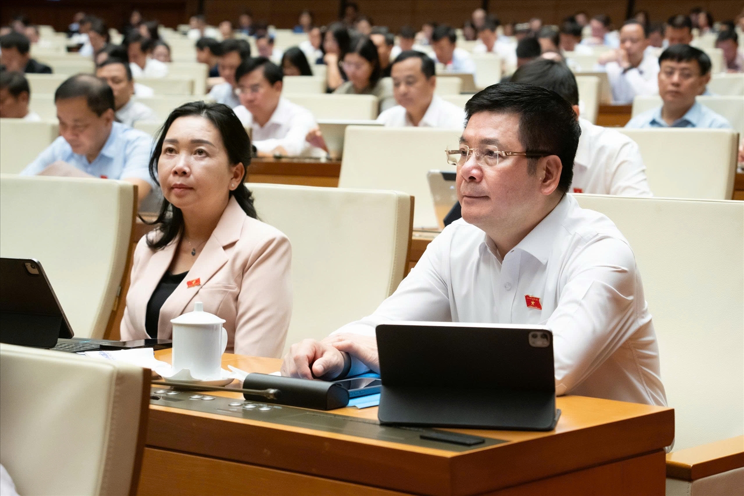 Phó Chủ tịch Quốc hội Nguyễn Hồng Diên và các đại biểu tham dự Phiên họp
