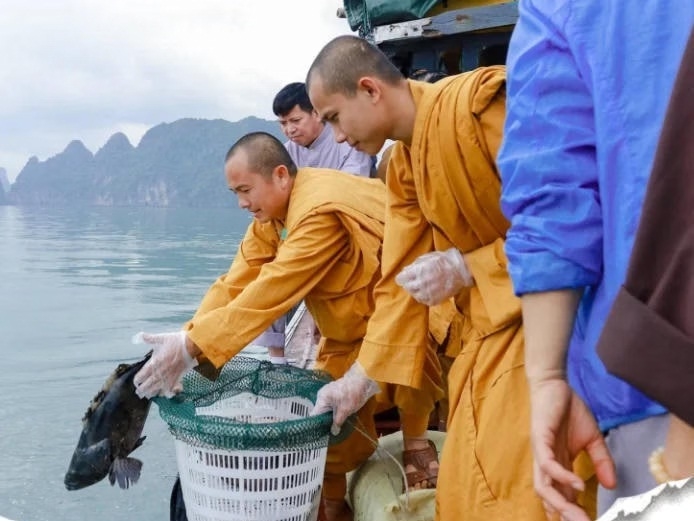 Phóng sinh đúng chính pháp là bảo vệ môi trường và đa dạng sinh học