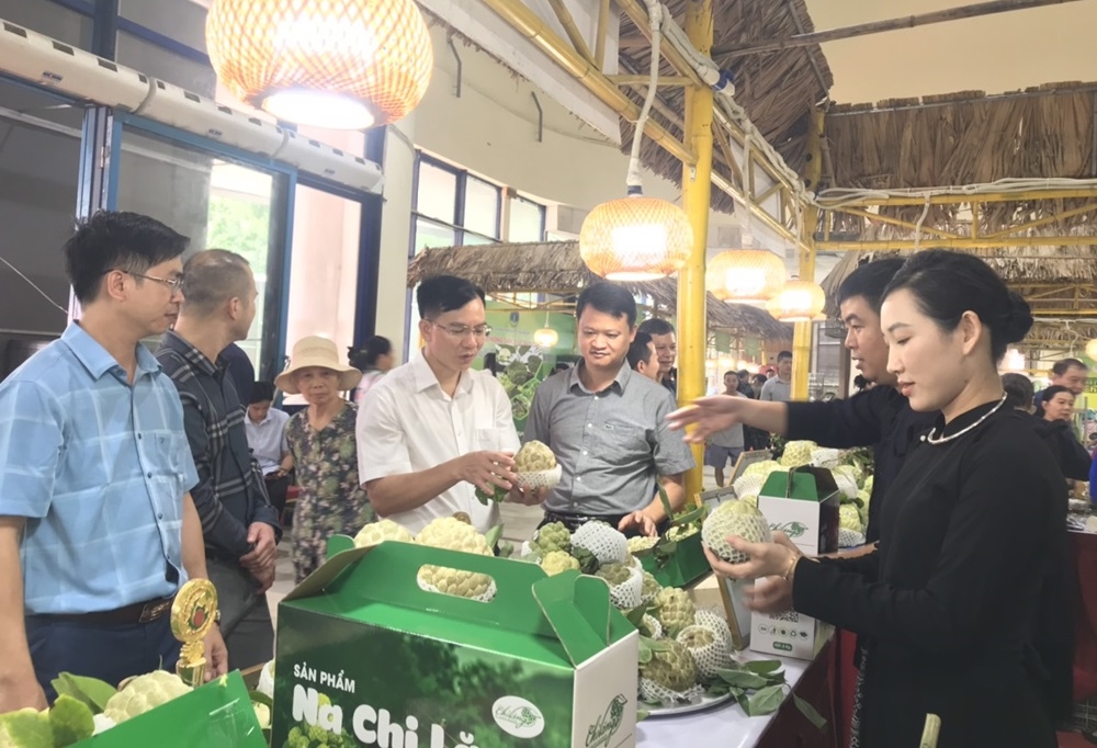 Lạng Sơn là một trong những tỉnh đi đầu trong việc triển khai chuyển đổi số trong nông nghiệp. Với vị trí địa lý đặc biệt và tiềm năng phát triển mạnh mẽ trong lĩnh vực nông nghiệp, Tỉnh Lạng Sơn đã tích cực áp dụng các công nghệ mới và số hóa hoạt động sản xuất nông nghiệp để nâng cao hiệu quả và thu nhập cho người dân. Những năm gần đây, tỉnh đã có những bước tiến lớn trong việc áp dụng công nghệ thông tin vào quản lý sản xuất và tiêu thụ sản phẩm nông sản