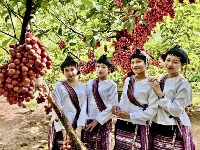 Những năm gần đây, xã Vân Hòa được nhiều du khách tìm đến khám phá, check-in vào mùa đỏ chín