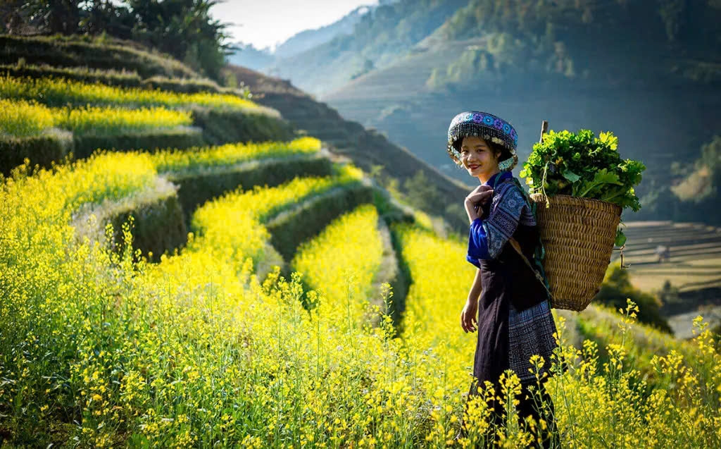 Với “Thơ tình của núi”, nhạc sĩ An Thuyên không chỉ kể một câu chuyện tình giữa người lính và cô gái vùng cao, miền núi. Đặc biệt, ông đưa người nghe vào một không gian Tây Bắc giàu chất thơ, nơi bản làng, bậc thang, con suối, hoa ban, điệu xòe và những cuộc gặp gỡ tình cờ cùng hòa vào một mạch cảm xúc