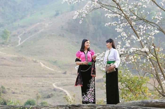  Loài hoa muôn màu sắc từ trắng, đỏ đến tím, nhưng có lẽ thanh khiết và nổi bật nhất vẫn là ban trắng. Và ban trắng như nét đẹp dịu dàng của người thiếu nữ vùng cao, miền núi