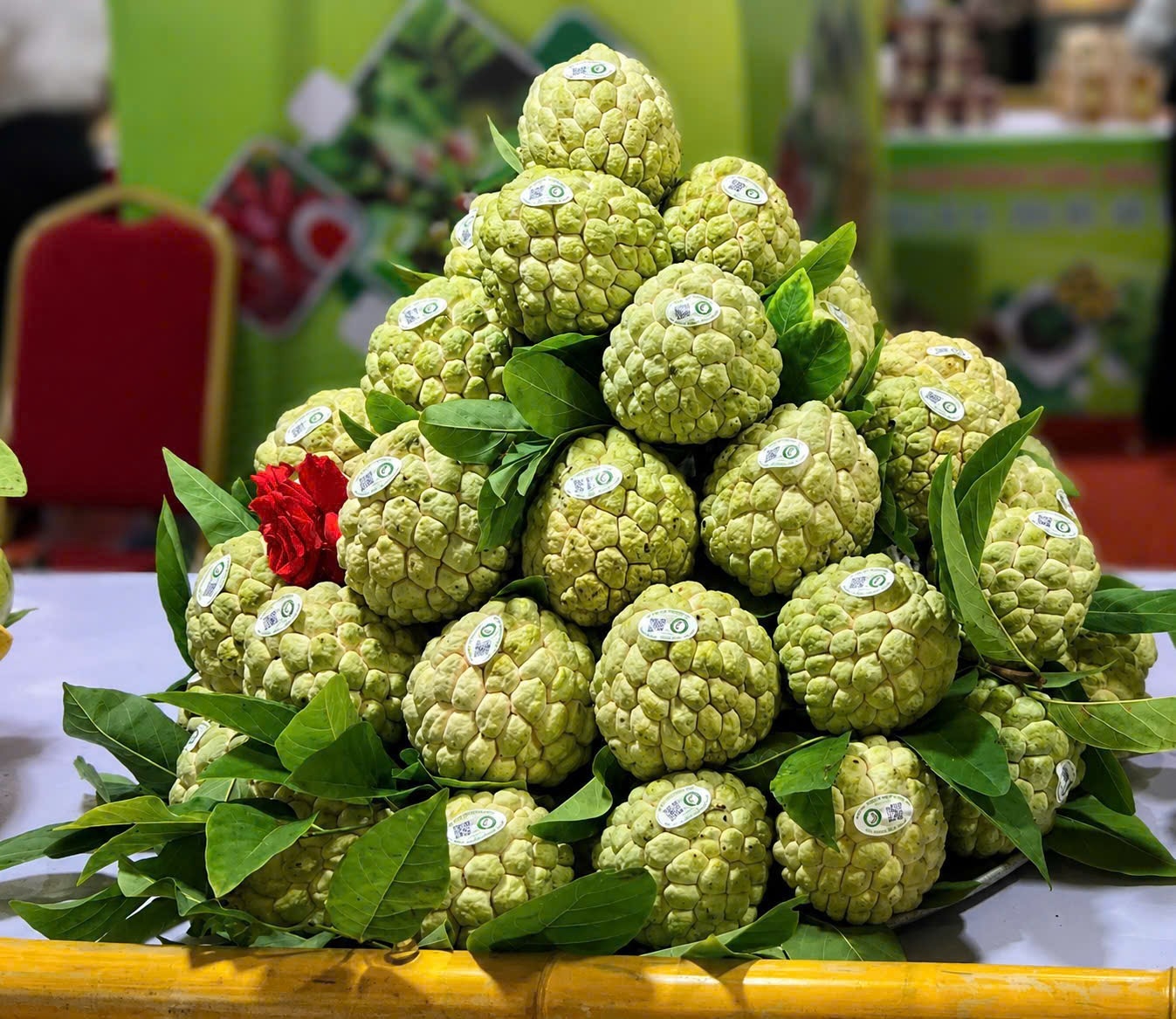 Việc đưa sản phẩm tươi từ vùng nguyên liệu đến tay người tiêu dùng trong thời gian ngắn không chỉ bảo đảm chất lượng, đồng thời còn góp phần quảng bá một trong những nông sản chủ lực của tỉnh Lạng Sơn tới thị trường rộng lớn hơn
