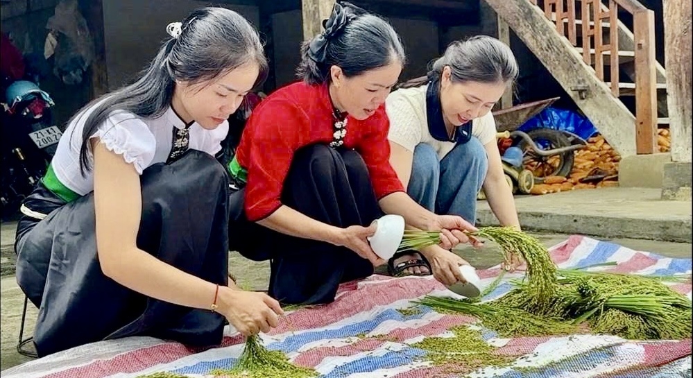 Đồng bào Thái trải nghiệm các công đoạn sơ chế lúa nếp, chuẩn bị nguyên liệu làm cốm truyền thống
