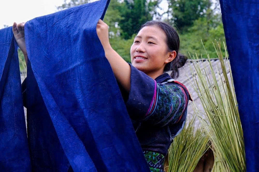 Vải lanh sau khi nhuộm chàm được phơi dưới nắng, tạo nên sắc xanh chàm đặc trưng trong trang phục truyền thống của người Mông