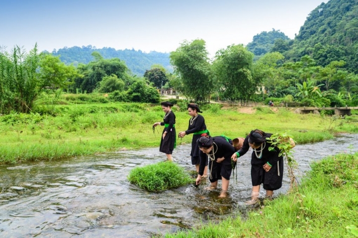  Khi tiết trời sang thu, các cô gái trong thôn bản sẽ đi bắt rêu ở các con suối
