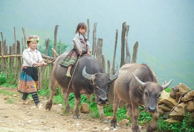 Một trong các mục tiêu phấn đấu là giảm tỷ lệ trẻ em bị bạo lực, xâm hại tình dục ít nhất 5% mỗi năm; giảm tỉ lệ trẻ em (người từ 05-17 tuổi) xuống dưới 1,1%. Ảnh: dantri.com.vn