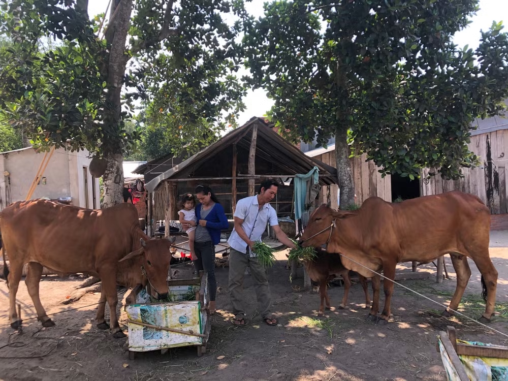 Tây Ninh tích cực hỗ trợ sinh kế, góp phần thúc đẩy phát triển kinh tế - xã hội vùng đồng bào dân tộc thiểu số