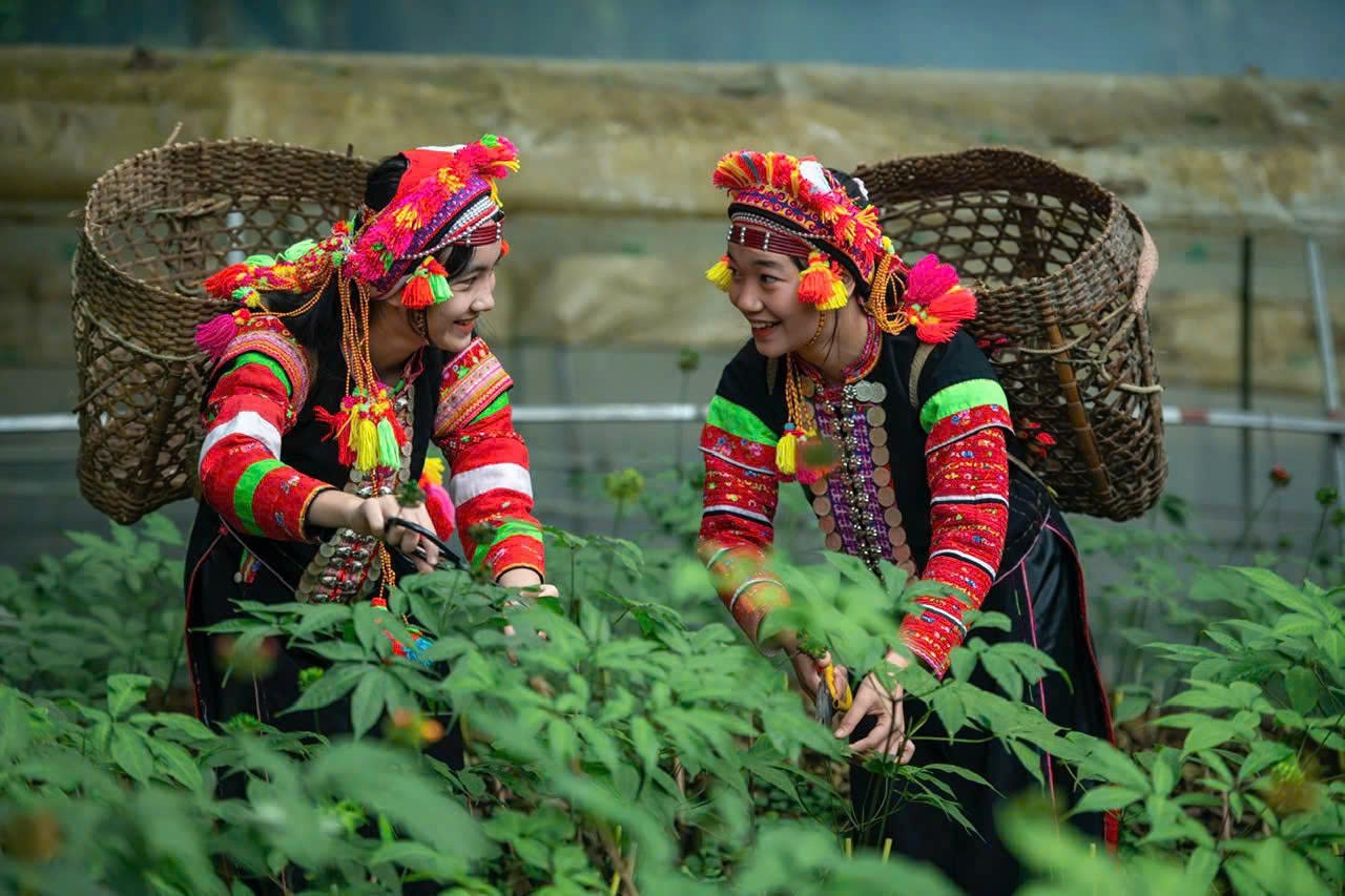 Nguồn lực con người và tri thức địa phương giữ vai trò quan trọng trong phát triển vùng dân tộc thiểu số