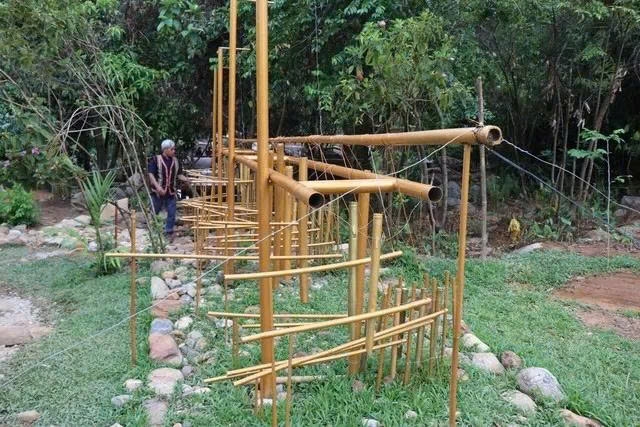 Đàn nước của đồng bào Ca-dong ngân vang bên hồ Rà Hách - suối Ruông, tái hiện một nét văn hóa truyền thống độc đáo giữa không gian đại ngàn Sơn Tây Hạ