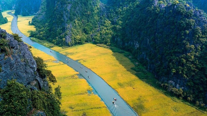 Và trải nghiệm ngồi thuyền ngắm cảnh trên sông Ngô Đồng là một điều đặc biệt mà bạn không nên bỏ lỡ khi đến đây thưởng cảnh. Những cô chú lái đò ở khu vực sông Ngô Đồng thuộc Tam Cốc - Bích Động chủ yếu là người địa phương sinh sống lân cận địa điểm này. Họ cũng sẽ là người hướng dẫn, giúp du khách trong nước và quốc tế hiểu thêm nhiều về vẻ đẹp của dòng sông này trong lúc thưởng ngoạn khung cảnh nơi đây