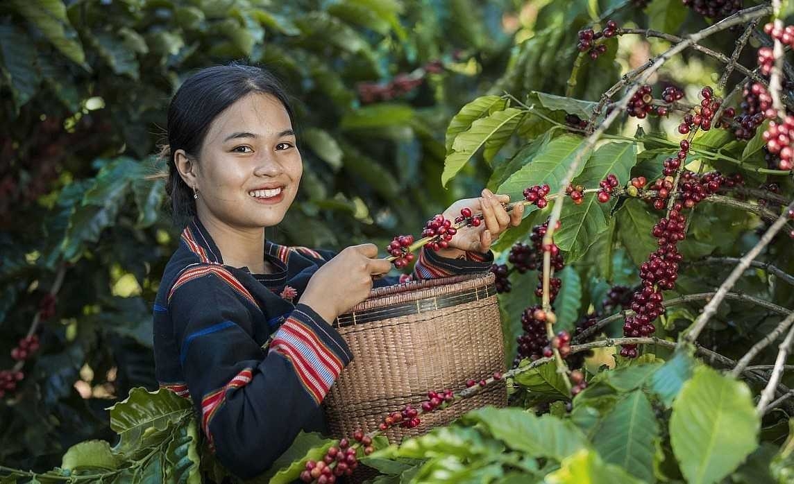Chuyển đổi số giúp người dân quảng bá được nhiều sản phẩm nông sản đến với bạn bè trong nước và quốc tế