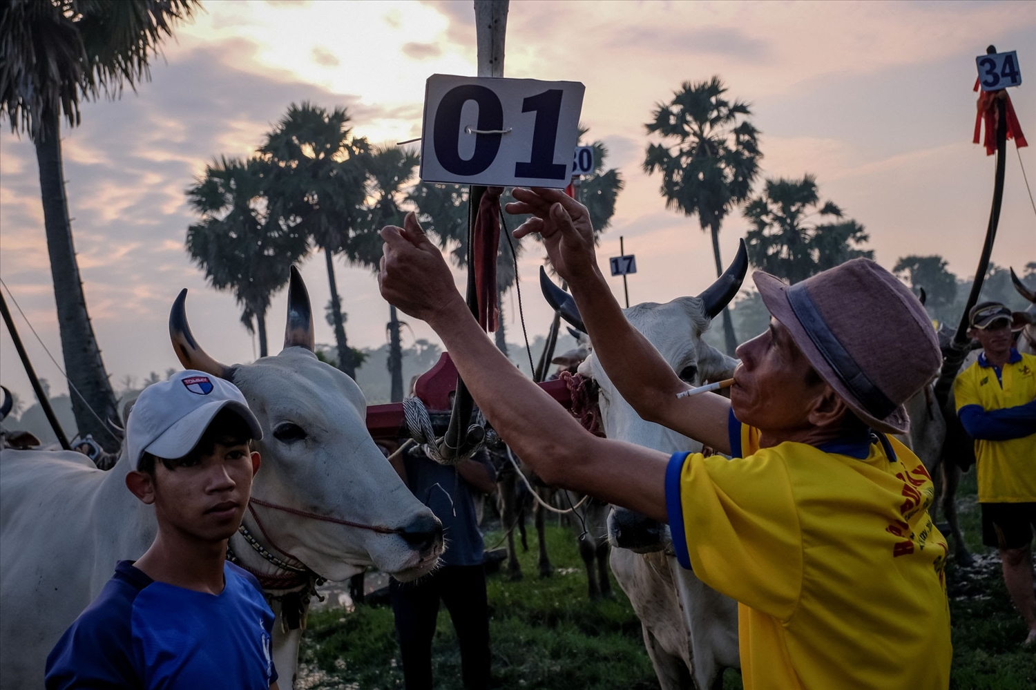 Hội đua bò Bảy Núi thu hút đông đảo du khách trong và ngoài nước, là một nguồn lực kinh tế nội sinh mạnh mẽ