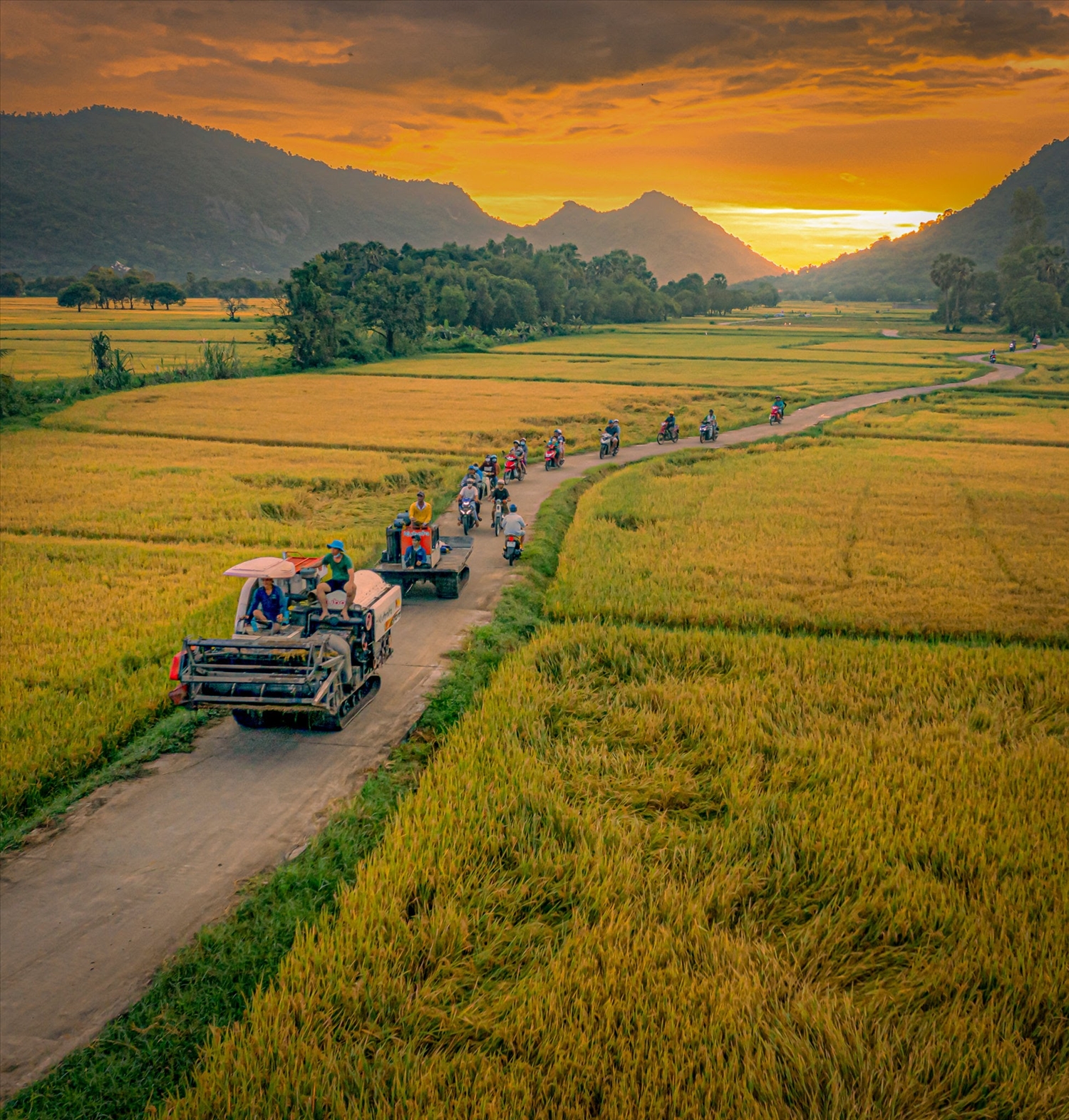Sự kết hợp giữa tri thức dân gian của đồng bào Khmer trong canh tác, thu hoạch thốt nốt cùng cảnh quan nông thôn vùng Bảy Núi đã tạo nên các dòng sản phẩm đặc sản OCOP có giá trị kinh tế cao